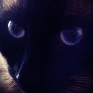 Meet your Posher, Robyn